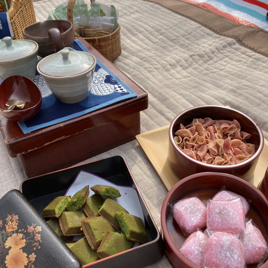 日本茶を愉しむ会（2025年3月）春の宴玉藻公園でお花見