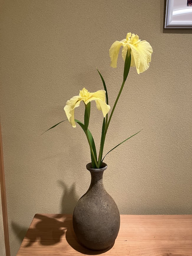 日本茶を愉しむ会（2026年5月）