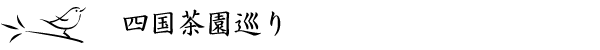 四国茶園巡り
