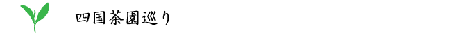 四国茶園巡り