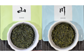 美術工芸おがわ四国茶園巡り四県煎茶セット