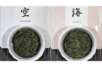 美術工芸おがわ四国茶園巡り四県煎茶セット